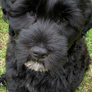 Meet your Posher, Beck